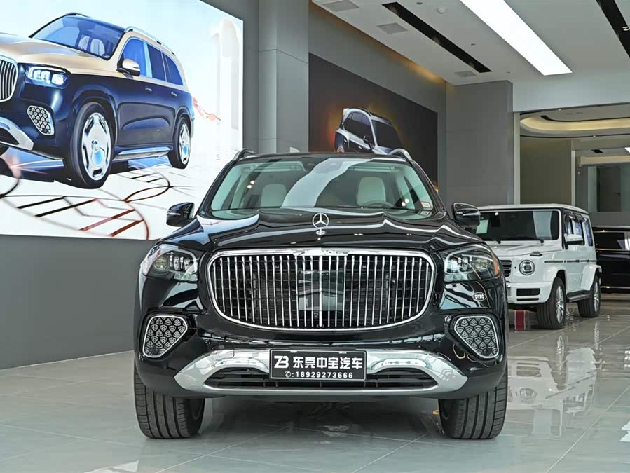 Mercedes-Benz Maybach GLS car image #3