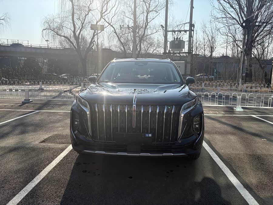 HongQi HS7 PHEV 2024 #3 HongQi HS7 PHEV 2024 car image #3