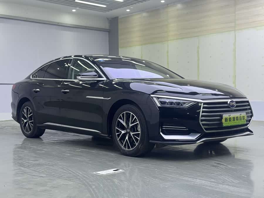 BYD e9 2021 car image #3