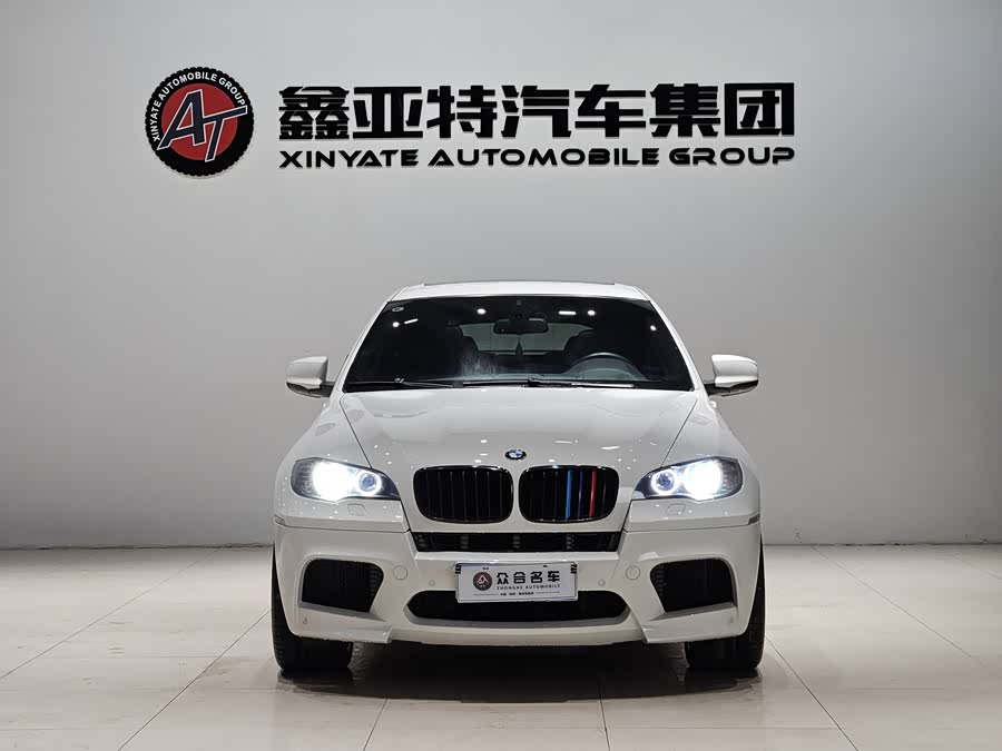 BMW X6 M 2010 #3 BMW X6 M 2010 immagine di auto #3