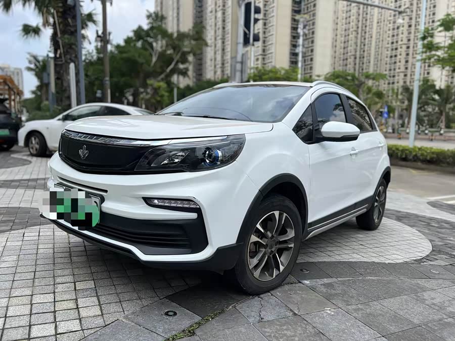 睿蓝汽车 枫叶30X 2020 汽车图片 #3