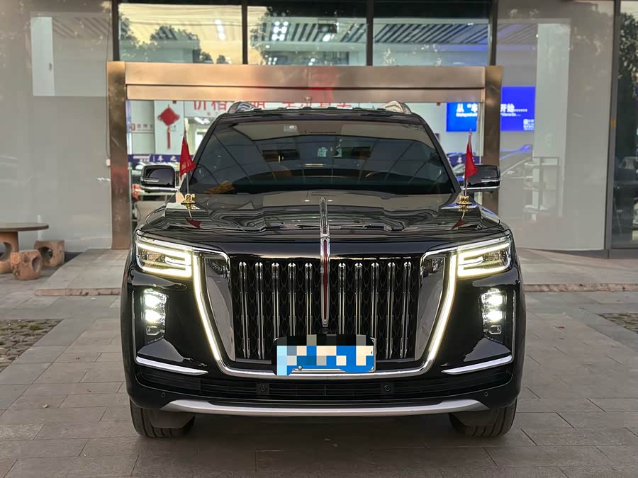 HongQi GuoYao 2022 #3 HongQi GuoYao 2022 car image #3