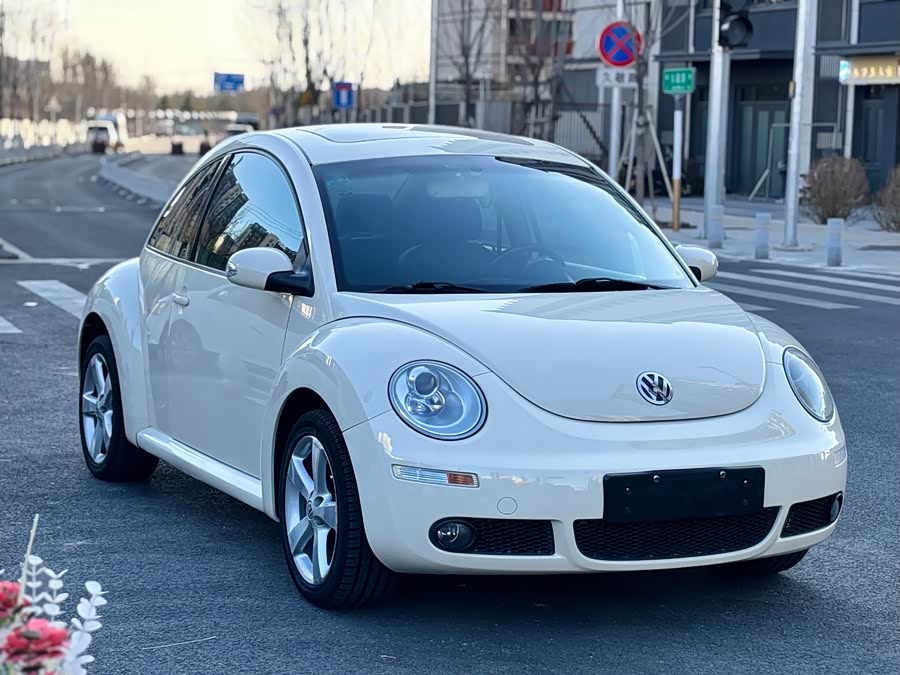 Volkswagen Beetle 2009 immagine di auto #3