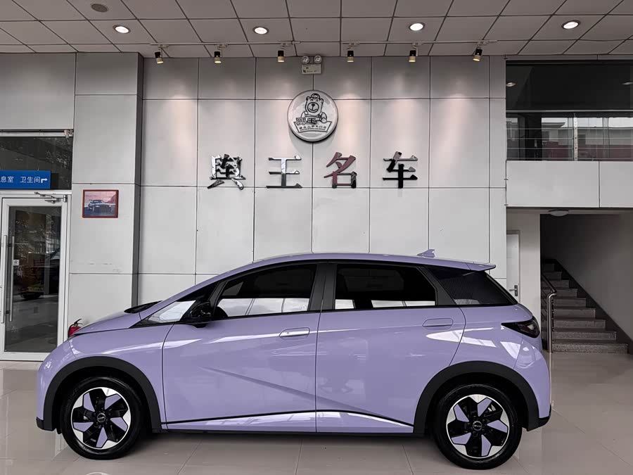 BYD Dolphin 2024 صورة سيارة #3