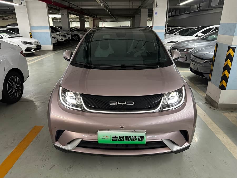 BYD Dolphin 2023 imagem de carro #3