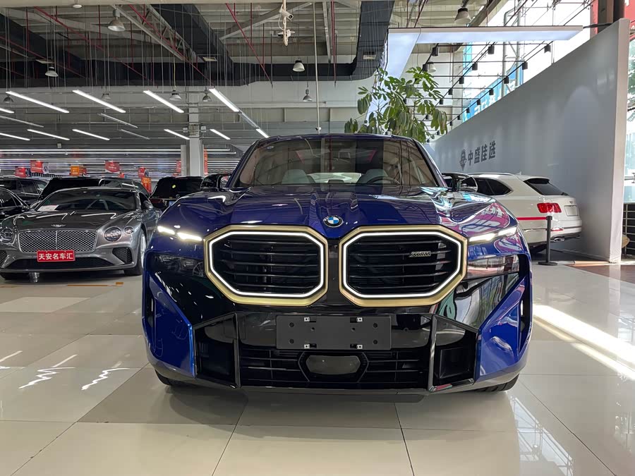 BMW XM 2024 immagine di auto #3