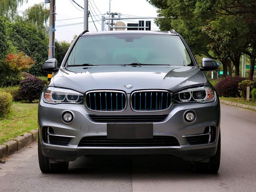 BMW X5 New Energy (Imported) 2018 car image #3