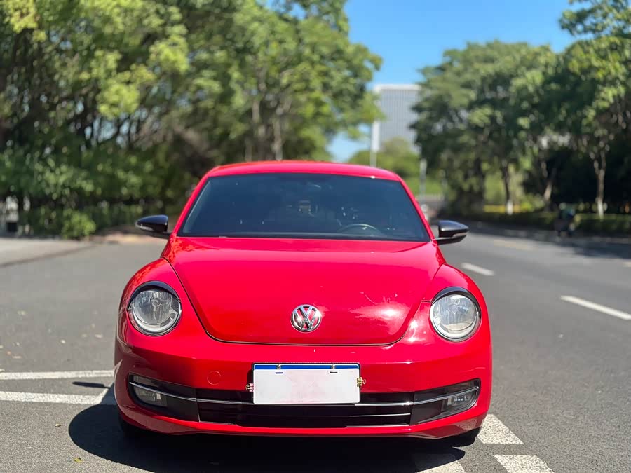 Volkswagen Beetle 2014 immagine di auto #3