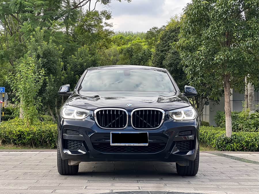 BMW X4 2020 car image #3