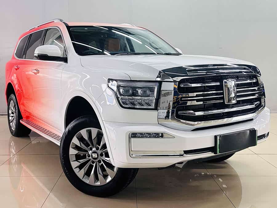 Tank 500 New Energy 2024 car image #3