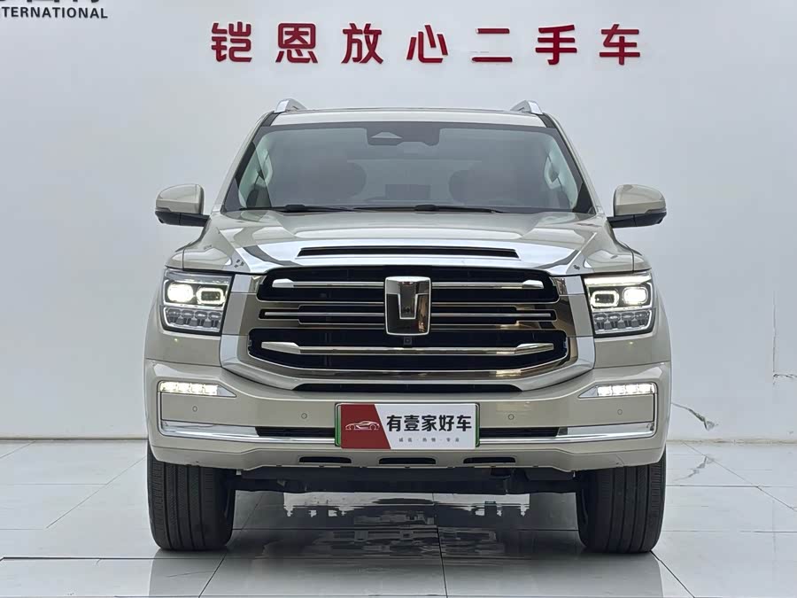 Tank 500 New Energy 2024 immagine di auto #3