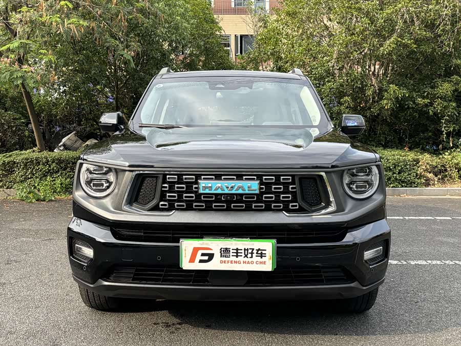 Haval X Dog 2 New Energy 2024 car image #3