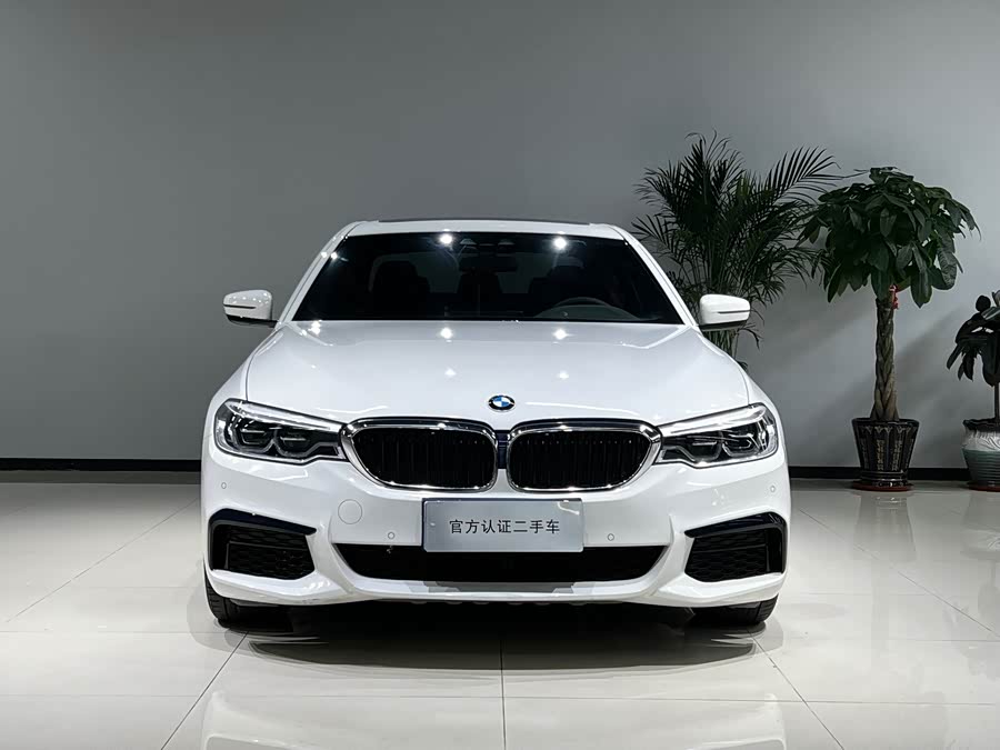 BMW 5 Series (Imported) 2019 #3 BMW 5 Series (Imported) 2019 car image #3