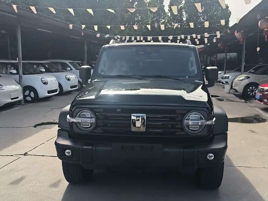 Tank 300 New Energy 2025 #3 Tank 300 New Energy 2025 immagine di auto #3