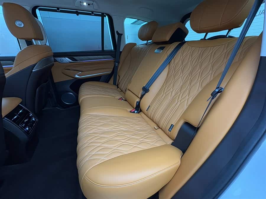 Tank 500 New Energy 2024 immagine di auto #3