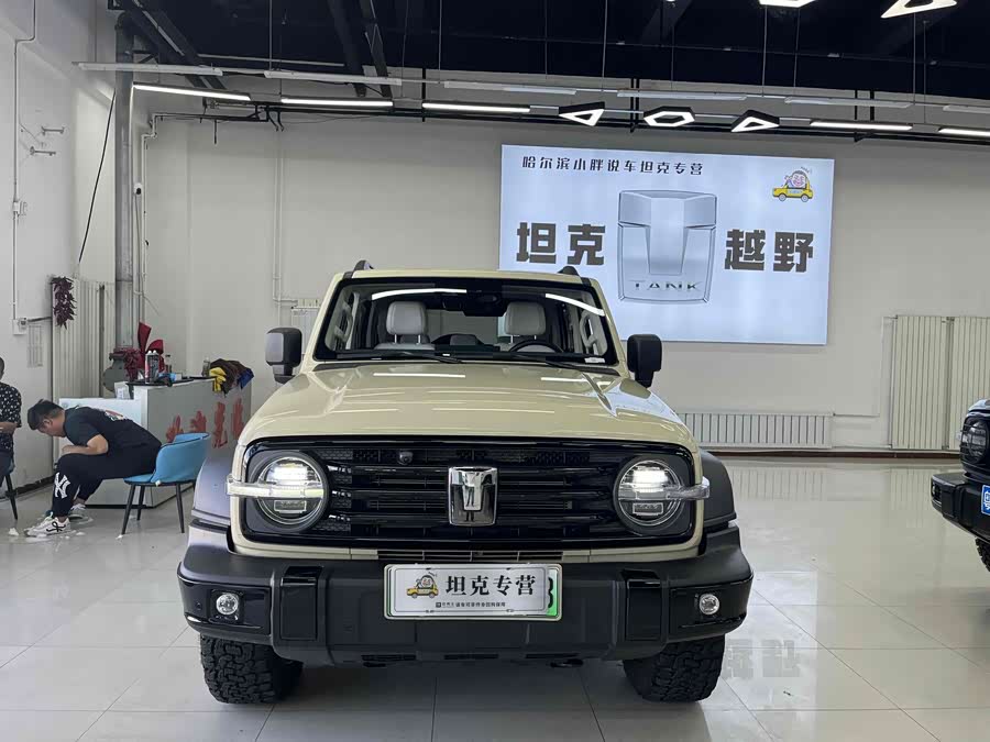 Tank 300 New Energy 2025 car image #3