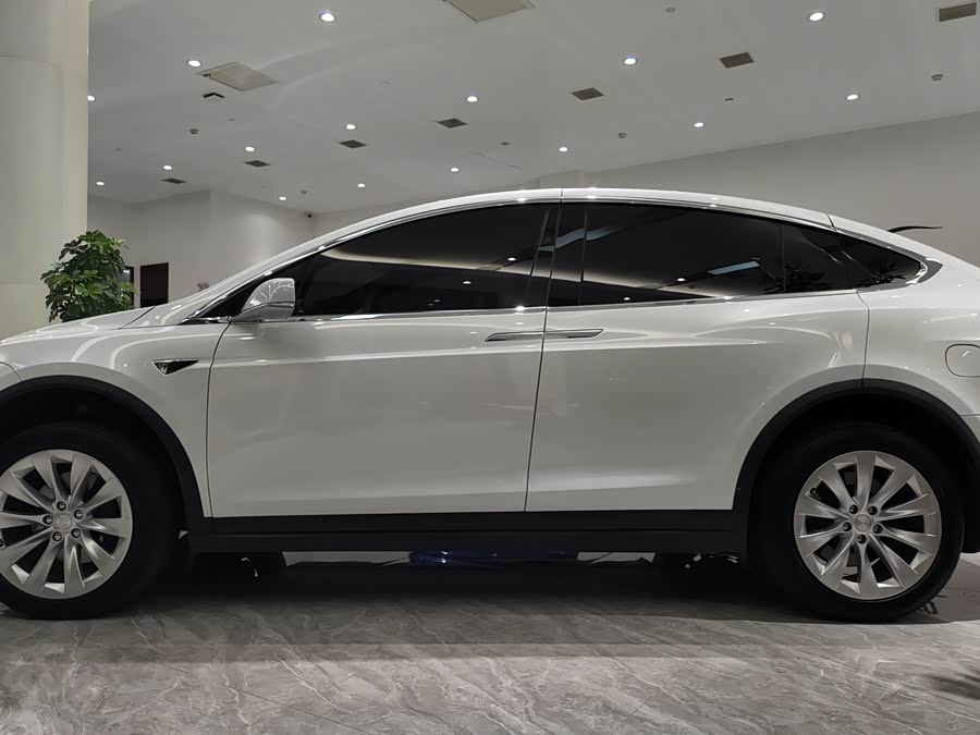 特斯拉 Model X 2020 汽车图片 #3