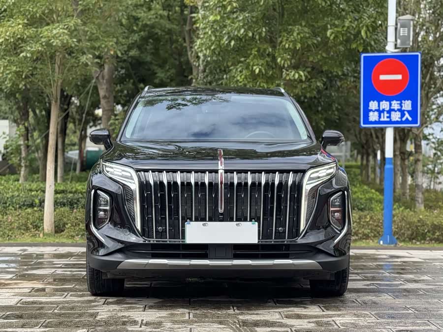 HongQi HS7 PHEV 2024 car image #3