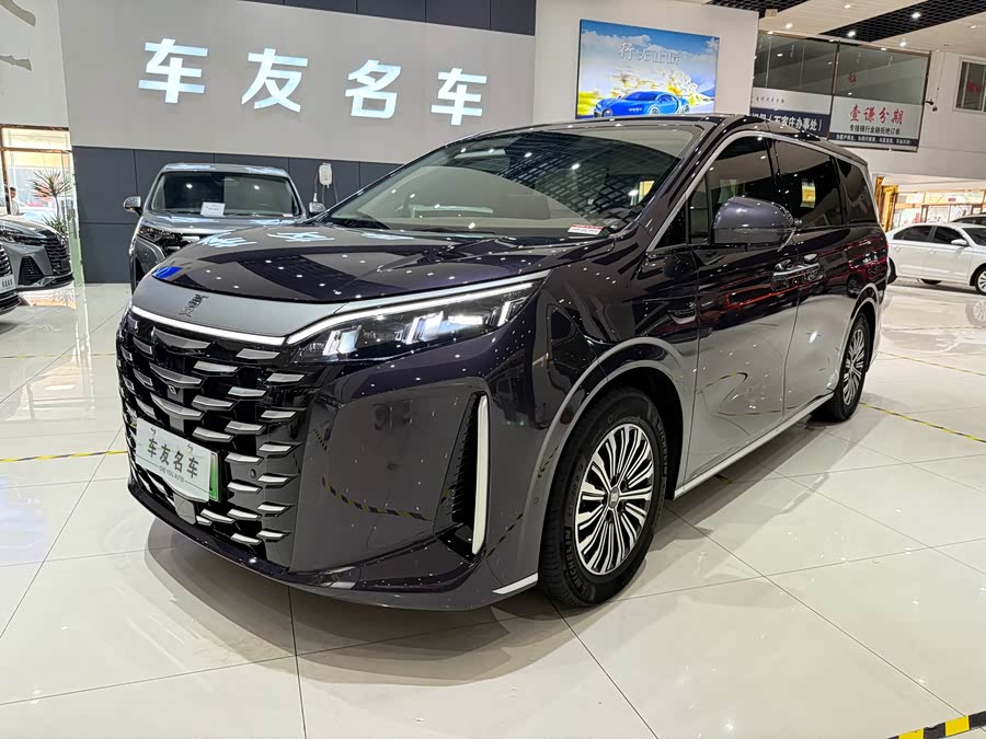 BYD Xia 2024 imagen de coche #3