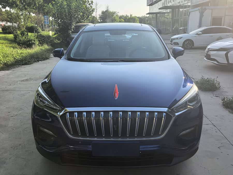 HongQi E-HS3 2019 car image #3