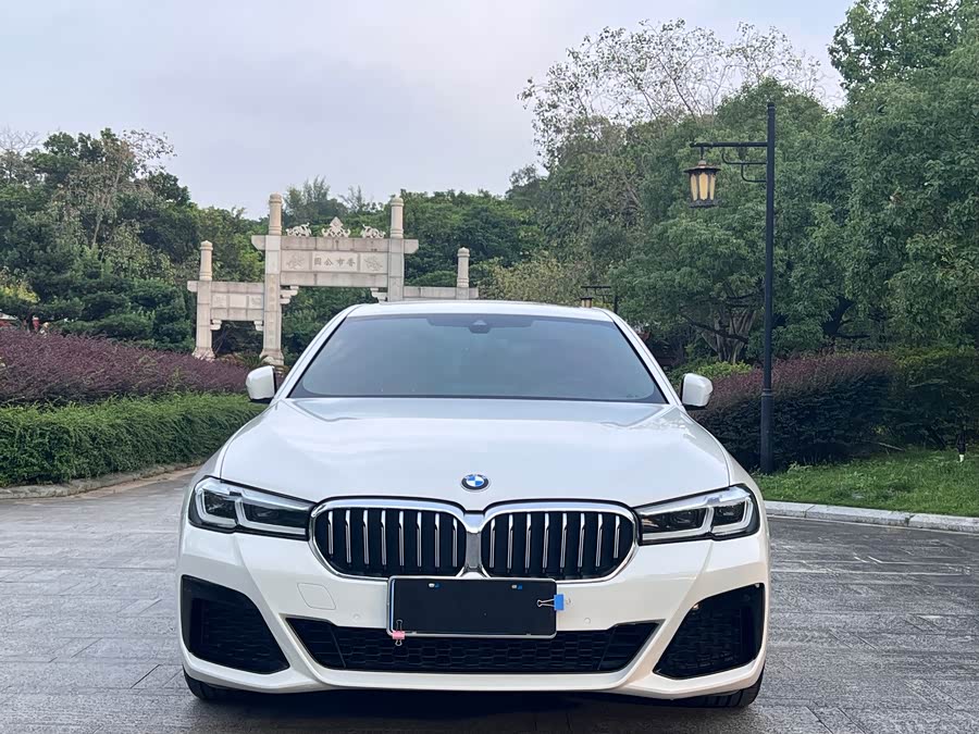 BMW 5 Series (Imported) 2021 #3 BMW 5 Series (Imported) 2021 immagine di auto #3