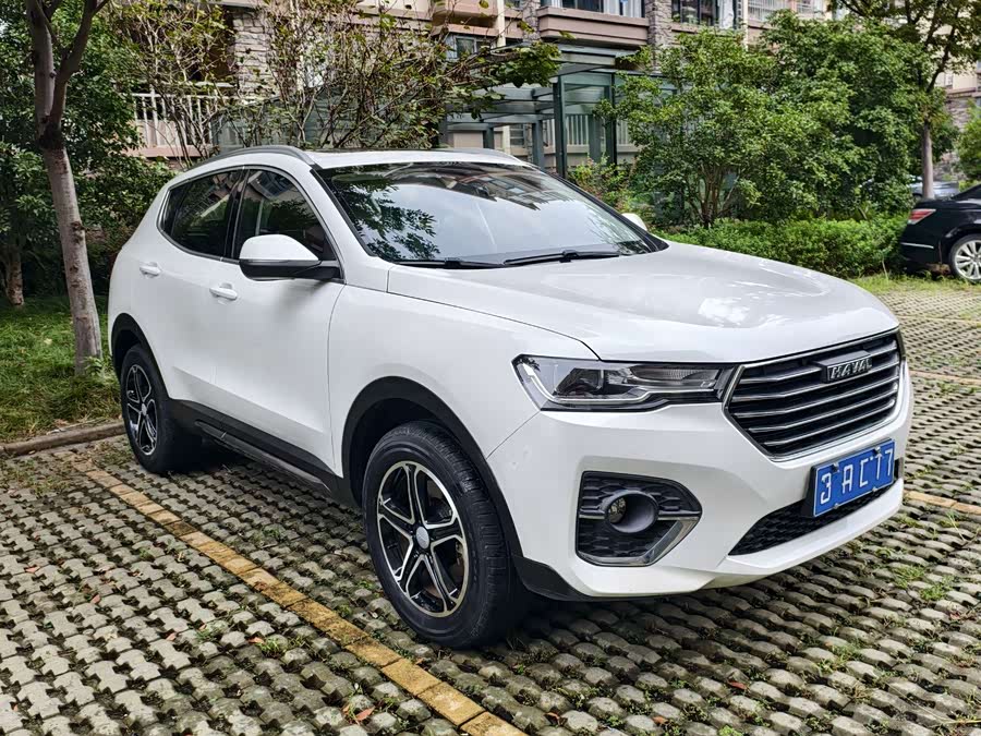 Haval H4 2020 #3 Haval H4 2020 car image #3