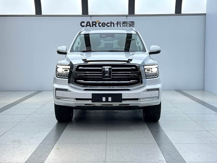 Tank 500 New Energy 2023 immagine di auto #3