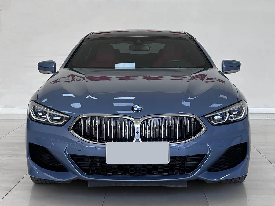 BMW 8 Series 2022 #3 BMW 8 Series 2022 car image #3