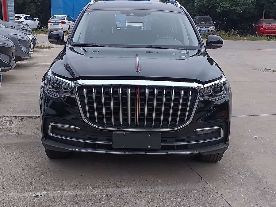 HongQi HS7 2020 car image #3