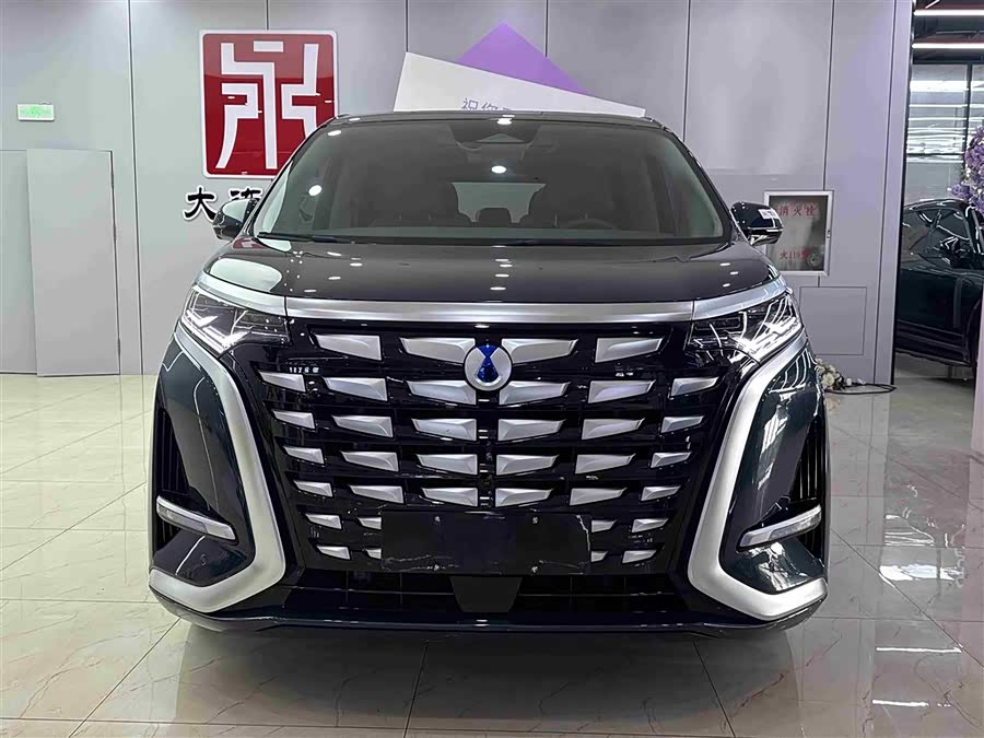 Denza D9 2023 imagem de carro #3