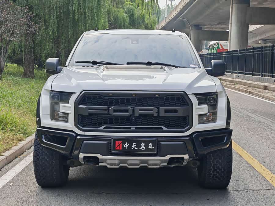 Ford F-150 Raptor 2018 car image #3