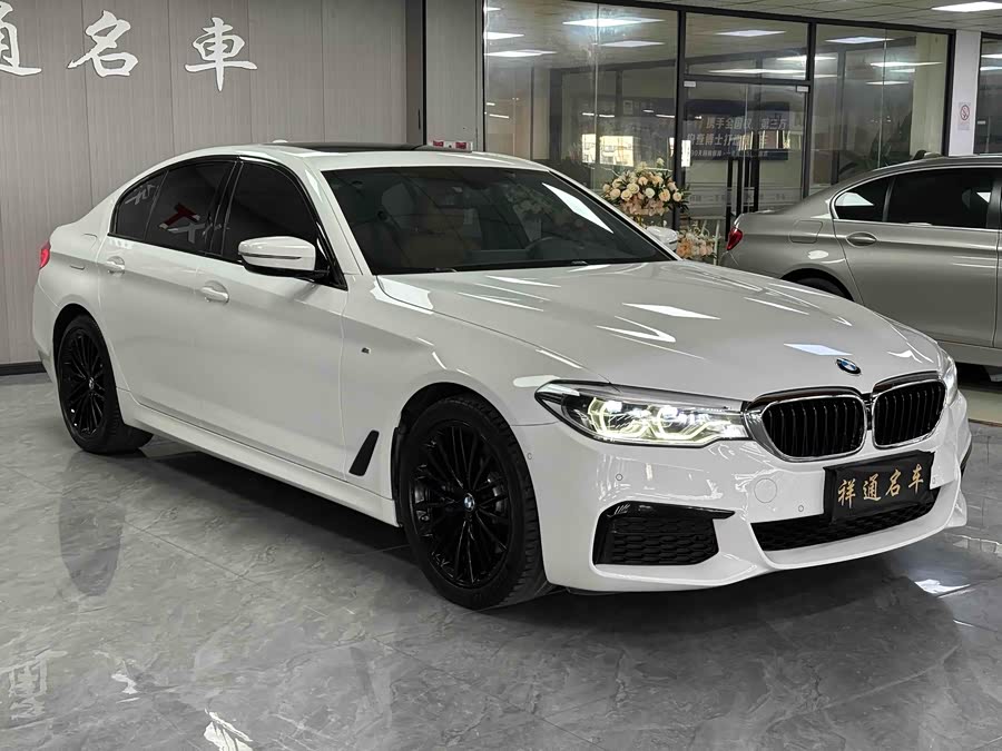 BMW 5 Series (Imported) 2019 #3 BMW 5 Series (Imported) 2019 car image #3