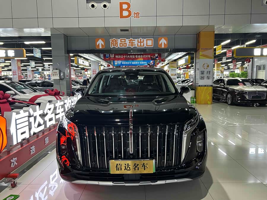 HongQi HS7 PHEV 2024 car image #3