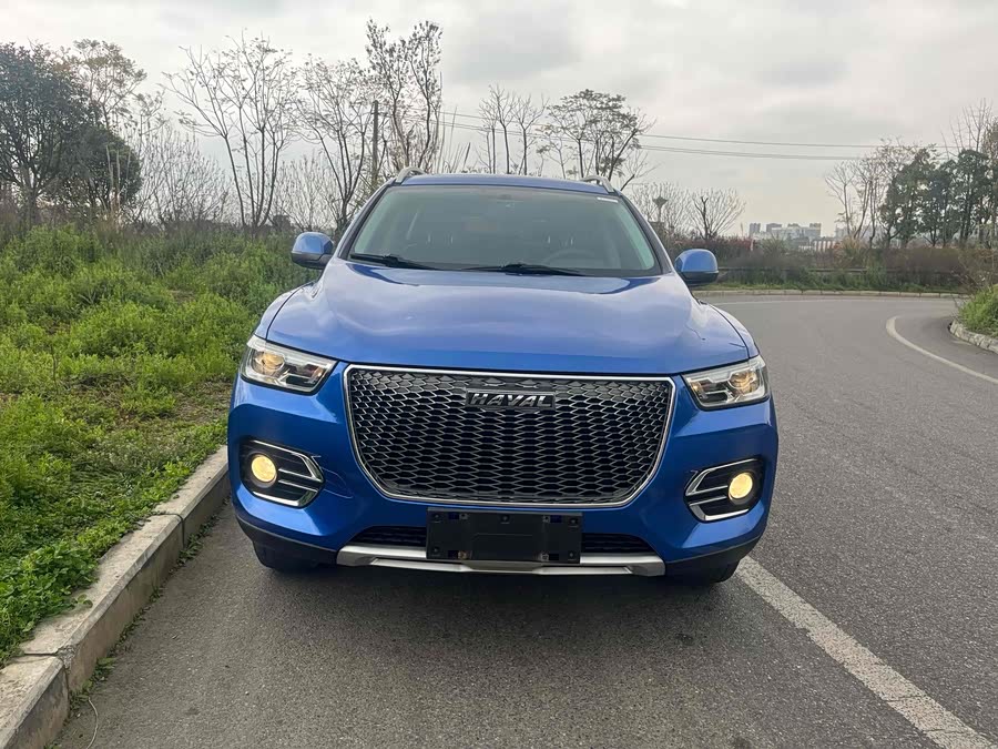 Haval H2s 2019 imagen de coche #3