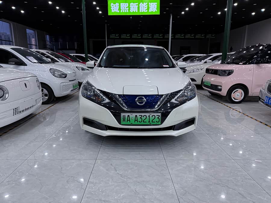 日产 轩逸·纯电 2019 汽车图片 #3