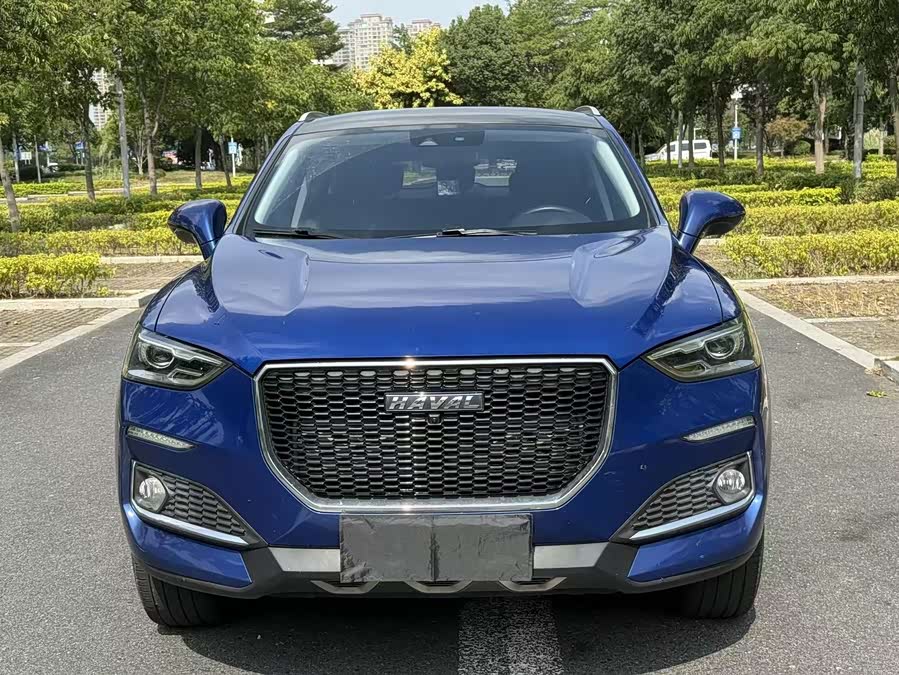Haval F5 2020 #3 Haval F5 2020 car image #3