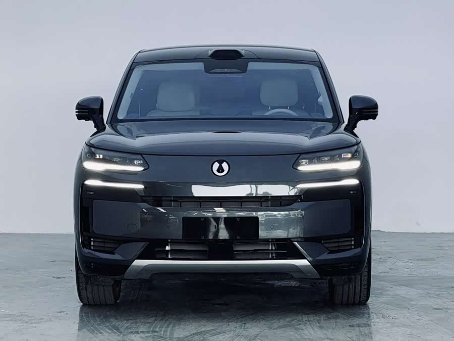 Denza N9 2025 car image #3