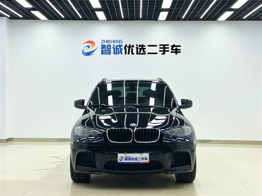 BMW X5 M 2010 #3 BMW X5 M 2010 car image #3