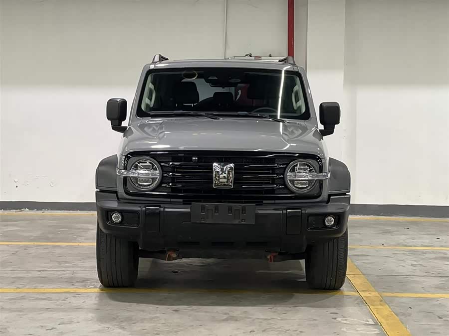 Tank 300 2021 car image #3