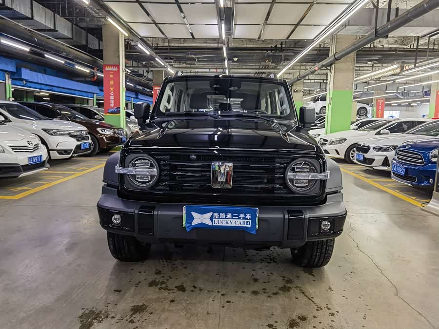 Tank 300 New Energy 2025 car image #3