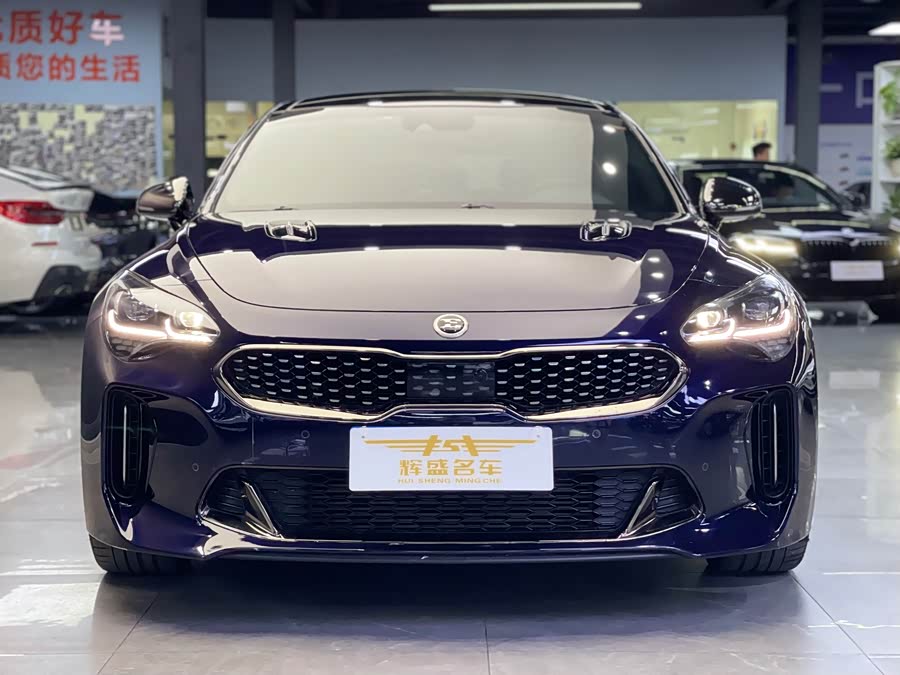 起亚 斯汀格 2018 汽车图片 #3