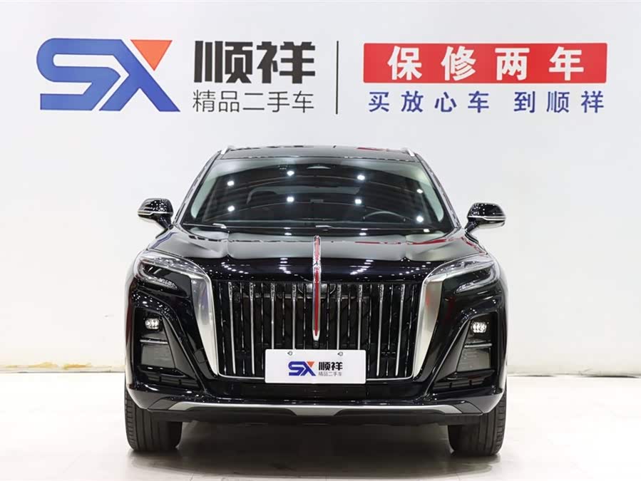 HongQi HS3 2024 immagine di auto #3