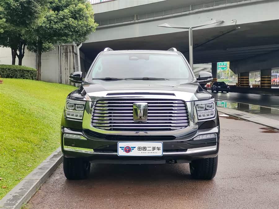 Tank 500 New Energy 2025 immagine di auto #3