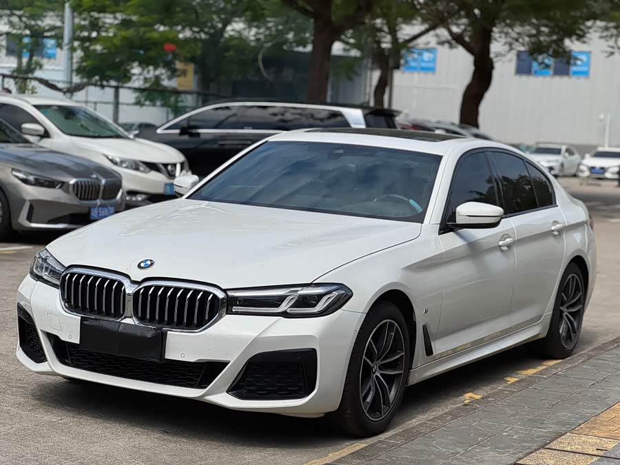 BMW 5 Series (Imported) 2021 #3 BMW 5 Series (Imported) 2021 car image #3