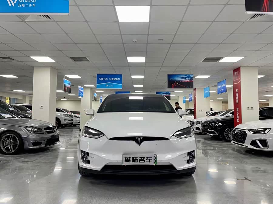 特斯拉 Model X 2019 汽车图片 #3
