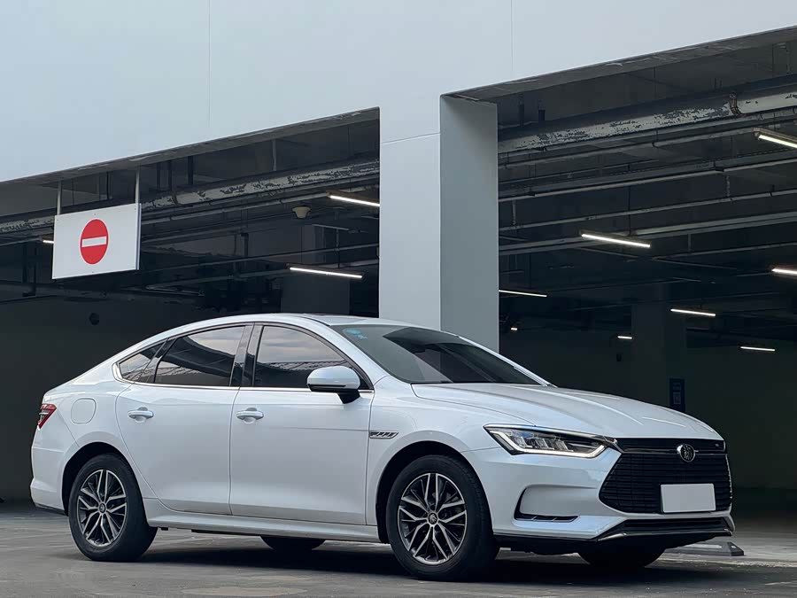 BYD Qin Pro New Energy 2020 #3 BYD Qin Pro New Energy 2020 immagine di auto #3