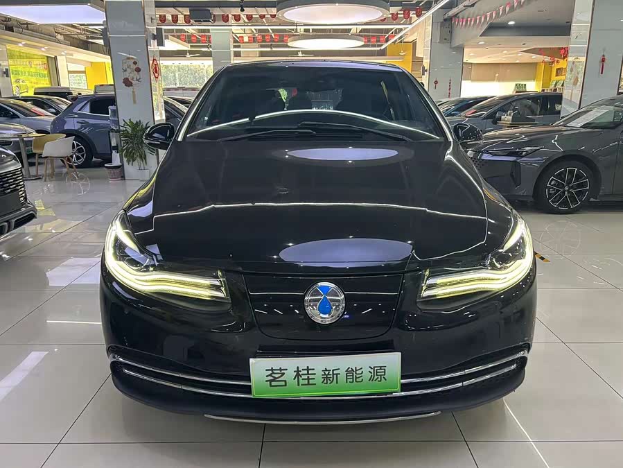 Denza DENZA 2018 imagem de carro #3