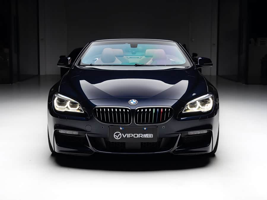 BMW 6 Series 2019 #3 BMW 6 Series 2019 car image #3