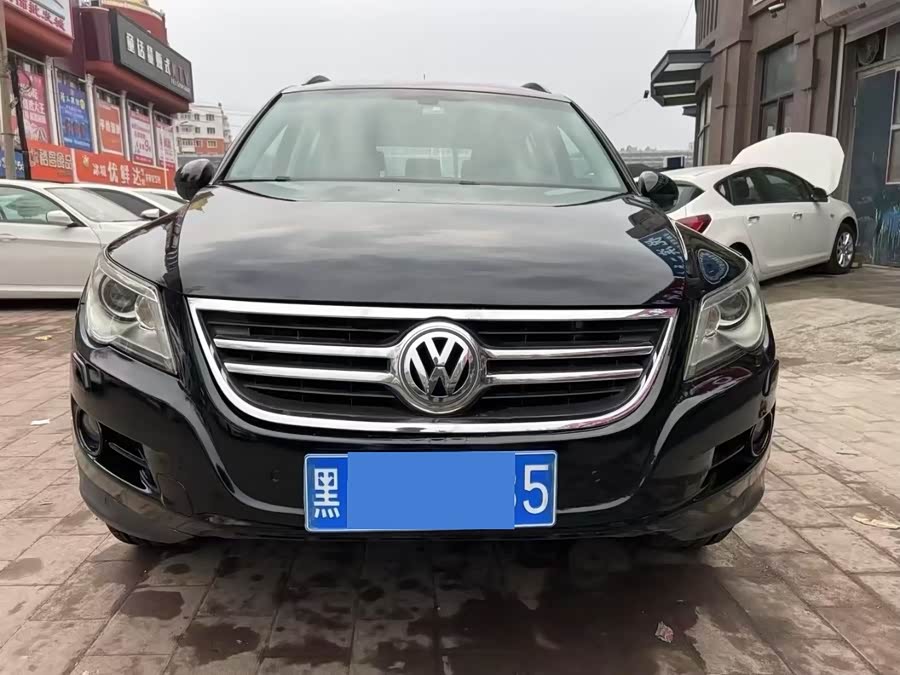 大众 Tiguan 2010 汽车图片 #3