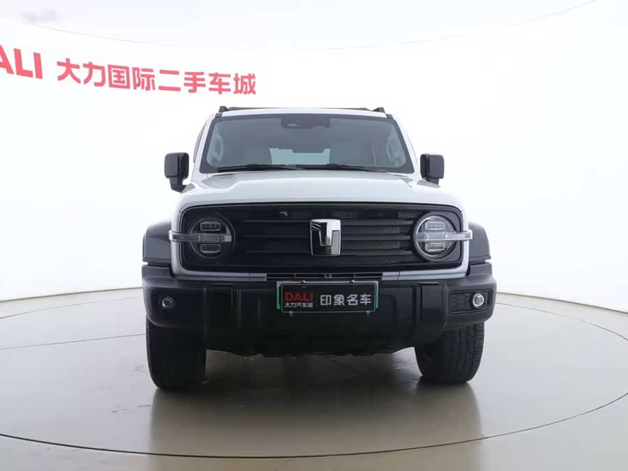 Tank 300 New Energy 2024 #3 Tank 300 New Energy 2024 immagine di auto #3